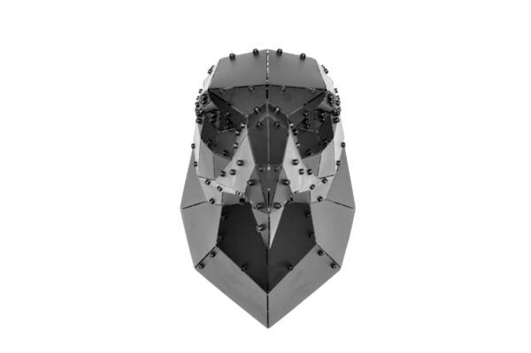 3D Geometrik Metal KArtal Kafası Duvar Dekoru