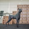 3D Geometrik Metal Large Doberman Heykeli